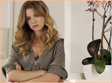 emily vancamp brothers and sisters