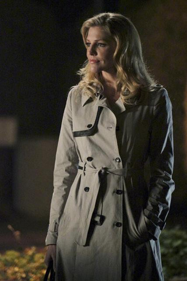 lucy lawless tricia helfer no ordinary family