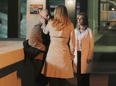 lucy lawless tricia helfer no ordinary family