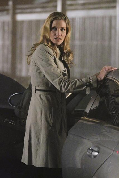 lucy lawless tricia helfer no ordinary family