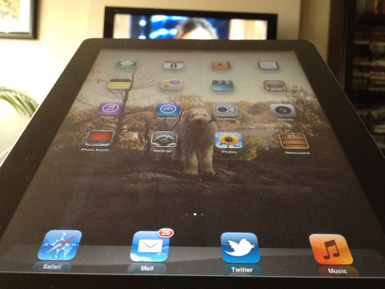 ipad-tv