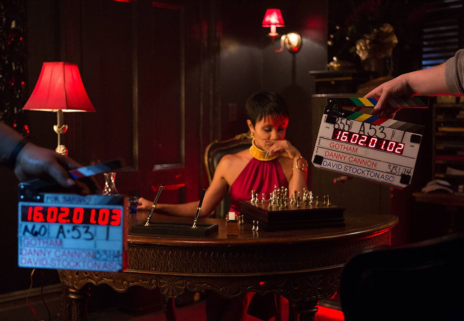 Gotham_pilot_Fish_sOffice_5190